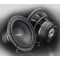 Gladen PRO 10