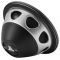 JL Audio 10WXv2-4