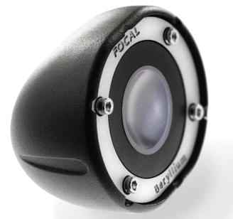 Focal TBE (TWVE0044)